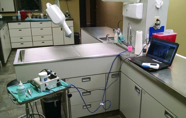 Treatment Area - Dental Station